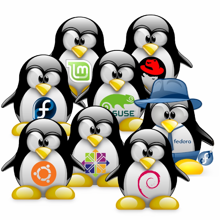 Дистрибутивы Linux для начинающих