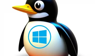 Linux или Windows — что лучше